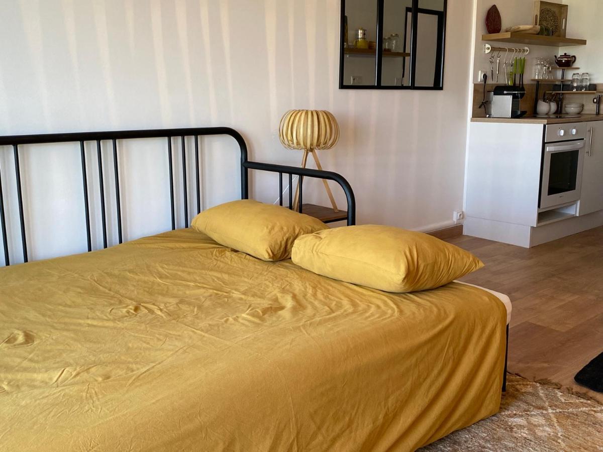 Studio Equipee Et Balcon Avec Vue Degagee Montrichard Eksteriør billede